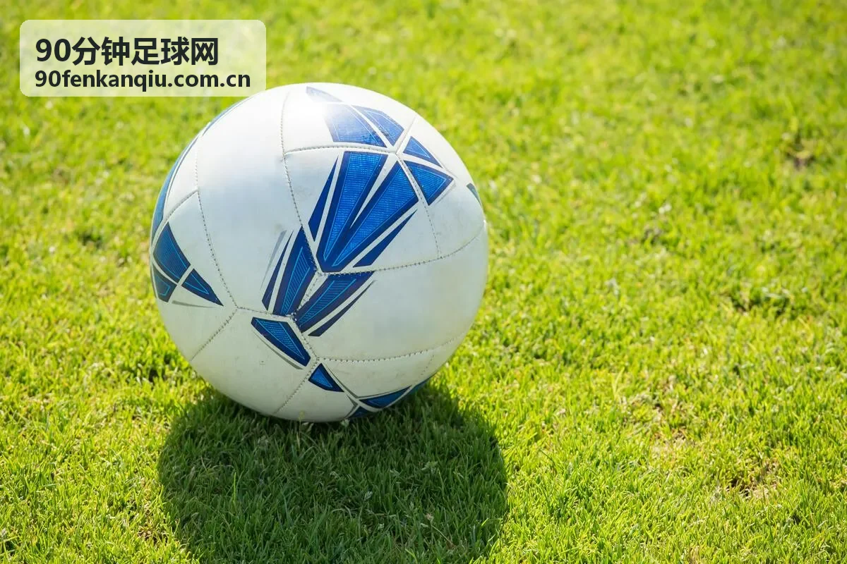 90分钟足球网专栏作者张磊头像